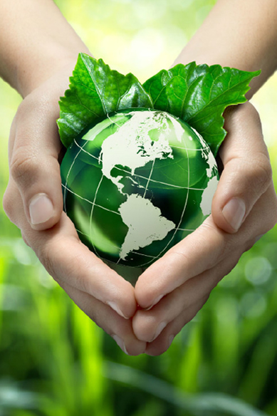 Green Approach